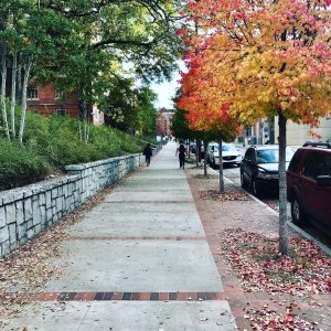 Fall colors, red and yellow on Techwood Drive.