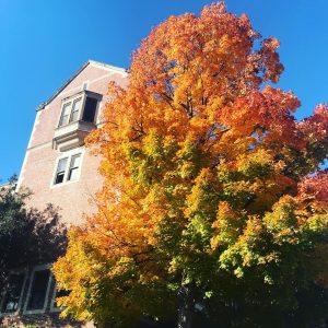 Fall colors, red, yellow, and orange on Freshman Hill near the GT library.
